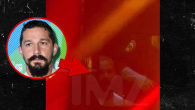 Shia LaBeouf Arrested at Mardi Gras After Fight, Spotted in Ambulance, on Video