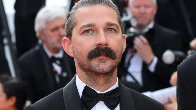 Shia LaBeouf Ordered to Rehab Following New Orleans Arrest