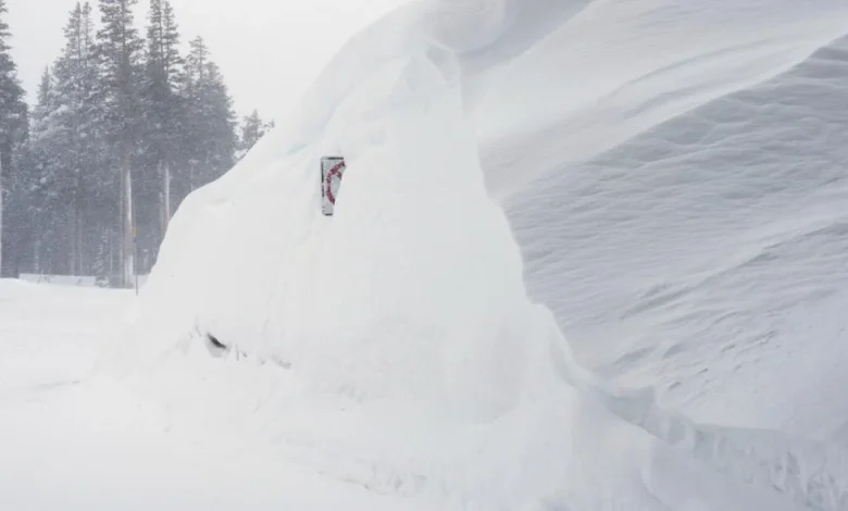 Sierra avalanche disaster victims: Mothers, adventurers, sisters