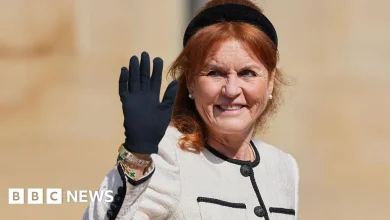 Six of Sarah Ferguson's companies are being dissolved