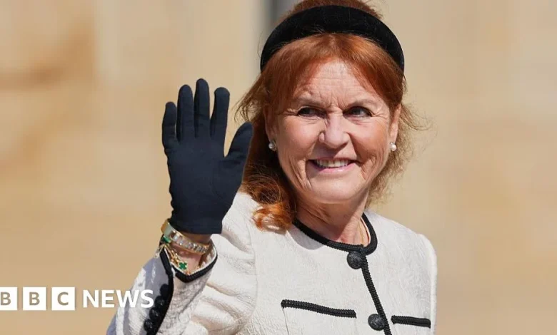 Six of Sarah Ferguson's companies are being dissolved