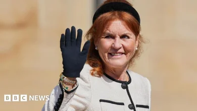 Six of Sarah Ferguson's companies winding down