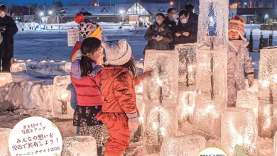 Snow Carvings & Candles Light Up Niseko