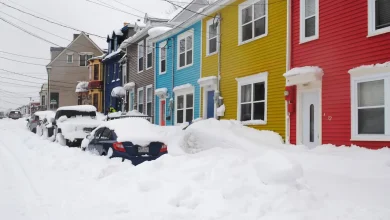 Snow and winds shut down schools in the St. John’s region amid severe weather