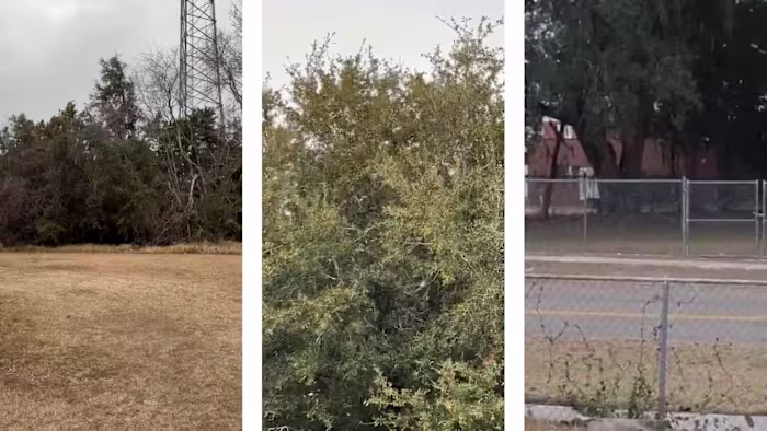 Snow flurries can be seen in parts of Northeast Florida, Southeast Georgia