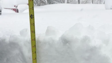 Snow totals in Boston and across Massachusetts from Blizzard of February 23, 2026