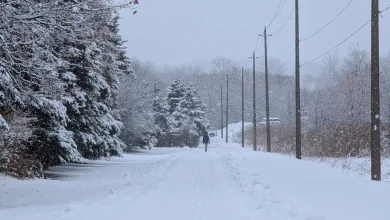 Snow, wind, cold: Active winter weather to end the work week