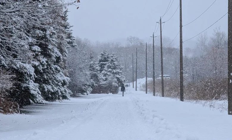 Snow, wind, cold: Active winter weather to end the work week