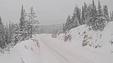 Snowfall warning for Kootenays issued by Environment Canada