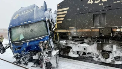 Snowstorm disrupts travel in southern US as blast of icy weather widens
