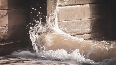 Southern Water chief to visit Isle of Wight after calls from concerned Liberal Democrat councillors