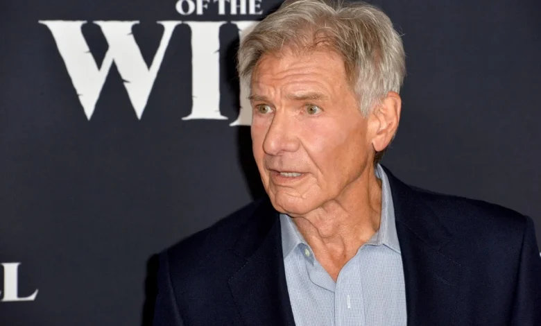 Steven Spielberg Removed Harrison Ford from One of His Masterpieces, Deeming His Presence Unnecessary