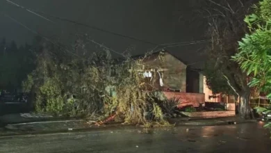 Storm bringing down power poles, trees across the Central Coast