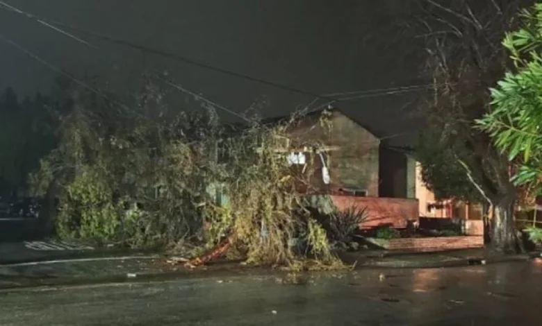 Storm bringing down power poles, trees across the Central Coast