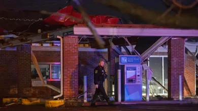 Storms move through Bloomington, Monroe County causing damage, see images - The Herald-Times