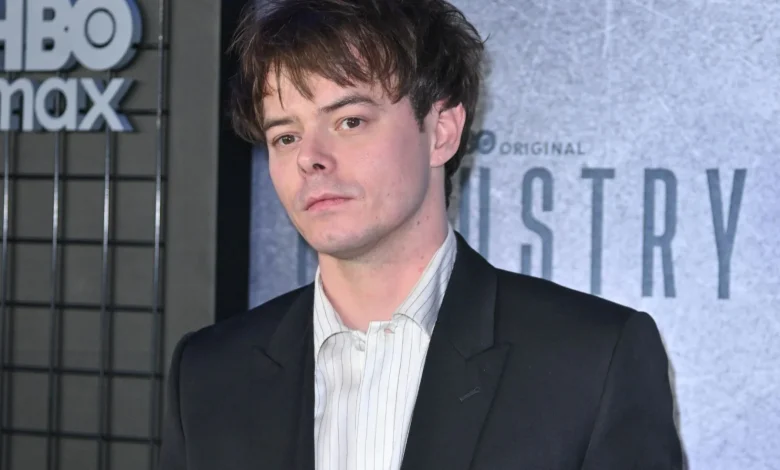 Stranger Things fans only just realising star is a dad and wild age gap with mum