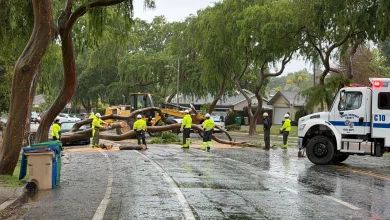 Strong Winds, More Rain Expected Overnight for Santa Barbara County