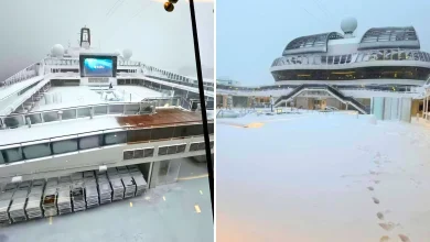 Stunning Photos: Two Cruise Ships Stuck in Port After Record Blizzard