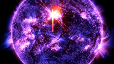 Sun Releases Strong Flare