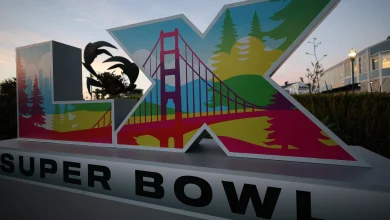 Super Bowl Forecast: Will The Seahawks And Patriots Have To Battle Mother Nature As Well?
