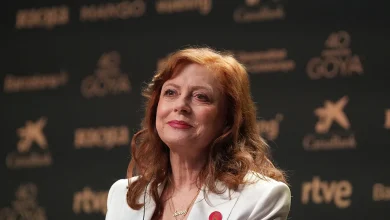 Susan Sarandon Says Hollywood Roles Dried Up After Support For Gaza