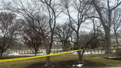 Teen arrested after approaching U.S. Capitol with loaded shotgun - The Washington Post