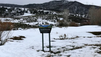 Tennessee businessmen among 4 killed in Colorado plane crash