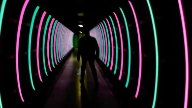 The AI Trilemma | Foreign Affairs