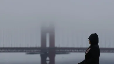 The Bay Area Chill Could Set Record Lows in These Cities. Some Climate Scientists Are Worried