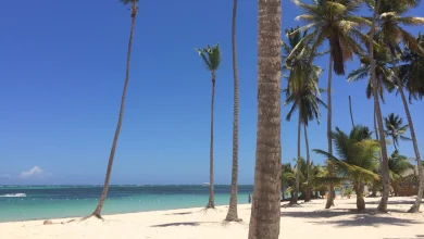 The Dominican Republic’s Biggest Tourism Marketplace Is Set for April