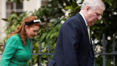 The Epstein files have brought a wave of resignations and investigations