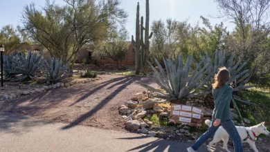 The Nancy Guthrie ransom note was 'carefully crafted,' listed two deadlines, contained key details