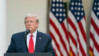 The Stock Market Sounds an Alarm as Wall Street Gets Bad News About President Trump's Tariffs. History Says This Will Happen Next.