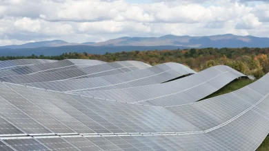 The US Had a Big Battery Boom Last Year