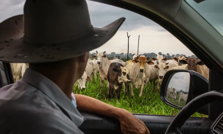 The cost of this grocery staple is nearing record highs — and Americans can't get enough