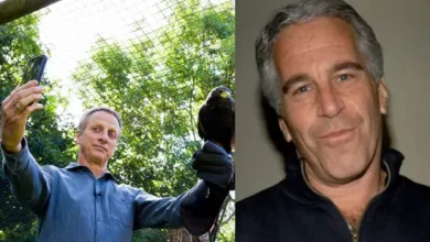 Tony Hawk's alleged Epstein links: Was skateboarder's wedding held at Epstein's island? | Hindustan Times