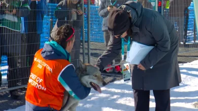 'Totally paw-some': Local dog crashes event at Olympics
