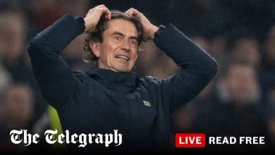 Tottenham must survive at any cost and then turn to Mauricio Pochettino