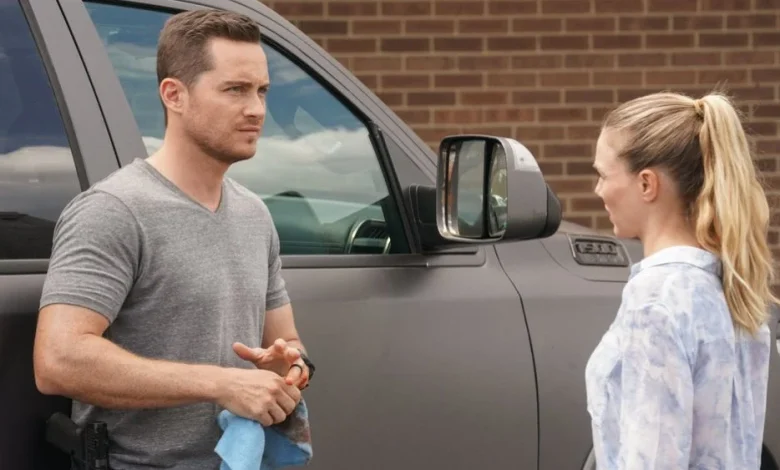Tracy Spiridakos, Jesse Lee Soffer Set 'Chicago P.D.' Return for Crossover