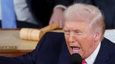 Trump Declared A 'War On Fraud' And You Know What Happened Next