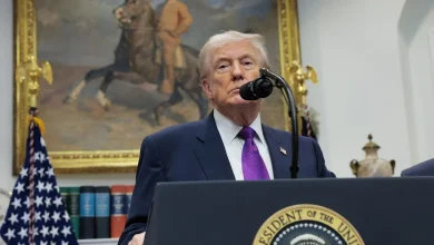 Trump crackdown drives 80% plunge in immigrant employment, reshaping labor market, Goldman says