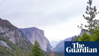 Trump nominates hospitality executive to lead National Park Service | Trump administration