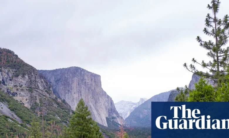 Trump nominates hospitality executive to lead National Park Service | Trump administration