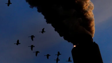 Trump repeals landmark legal policy underpinning key climate rules