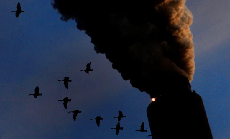 Trump repeals landmark legal policy underpinning key climate rules