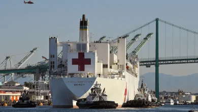 Trump talk of sending hospital ship to Greenland poses a puzzle
