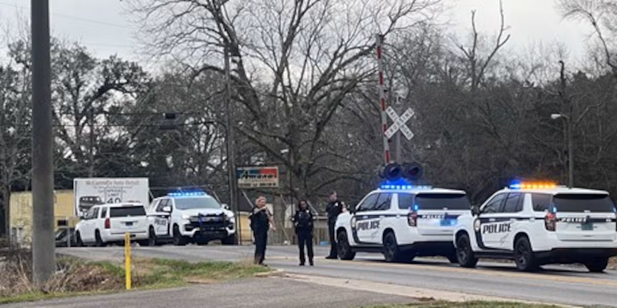 UPDATE: Woman, child killed in train-vehicle crash, authorities say