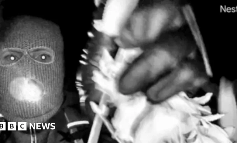 US police release images of masked person in Nancy Guthrie case