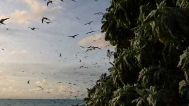 US sanctions officials from Marshall Islands and Palau, citing China fears