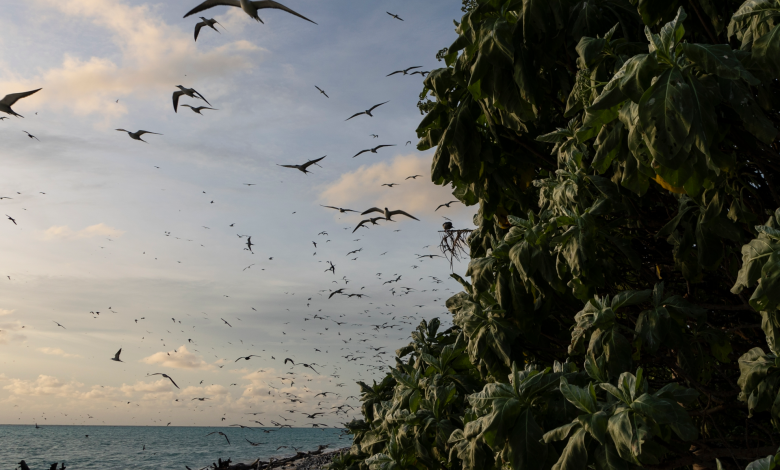 US sanctions officials from Marshall Islands and Palau, citing China fears